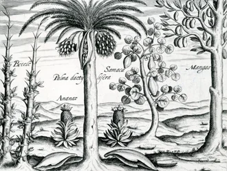 Paesaggio, illustrazione da 
